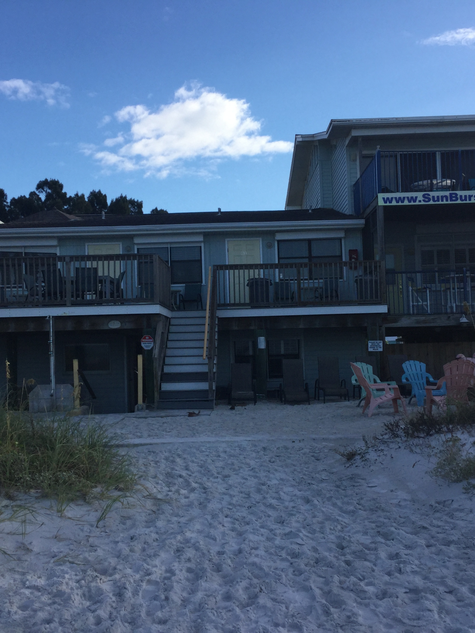 Untitled design (30)