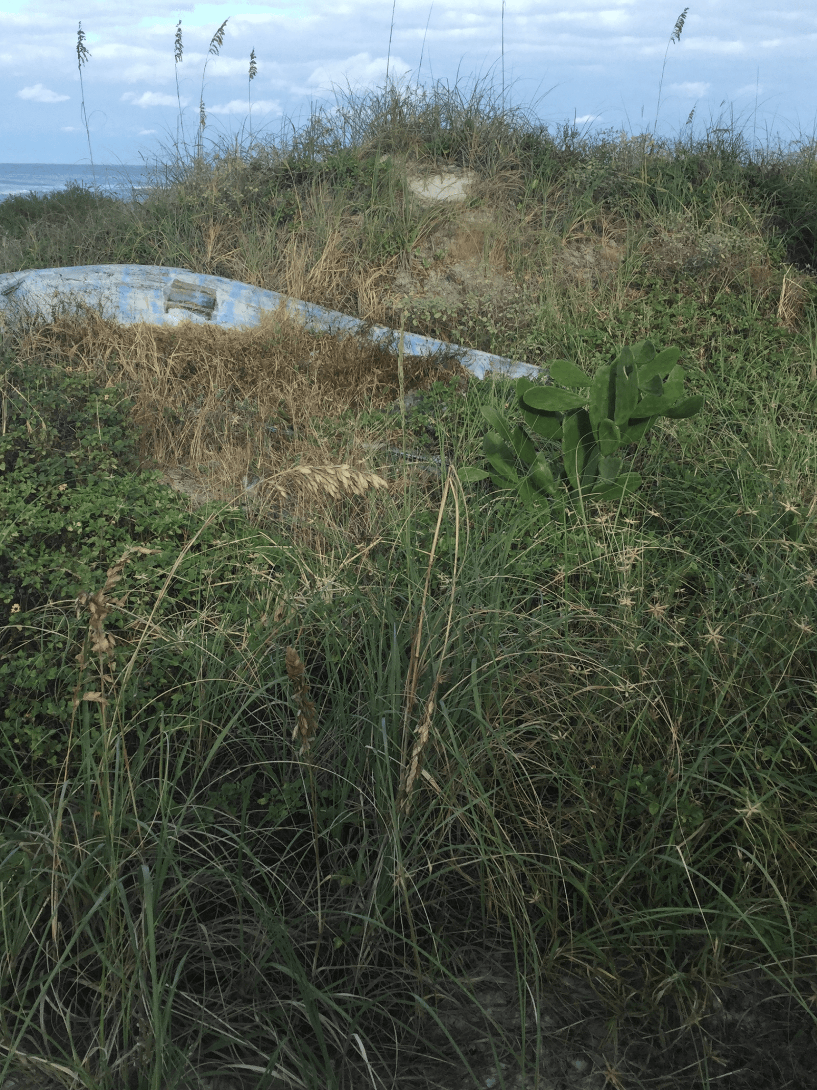 Untitled design (40)-min