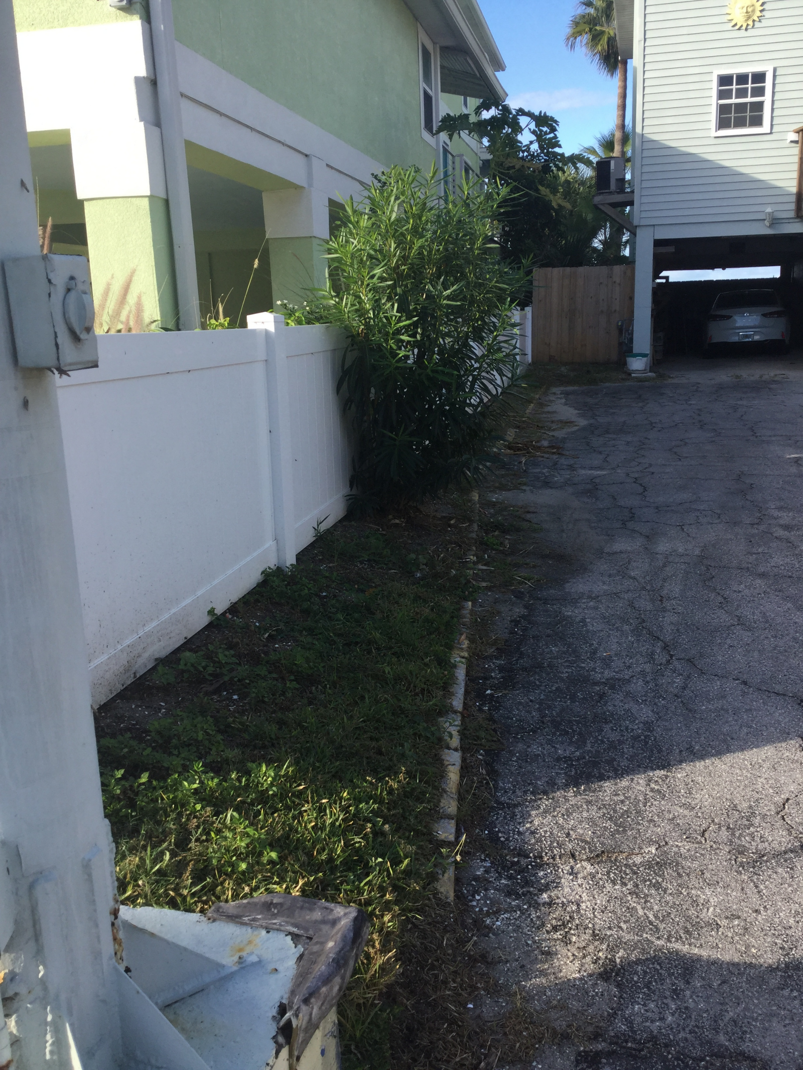 Untitled design (45)